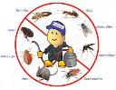 Pest Control Bribie Island logo